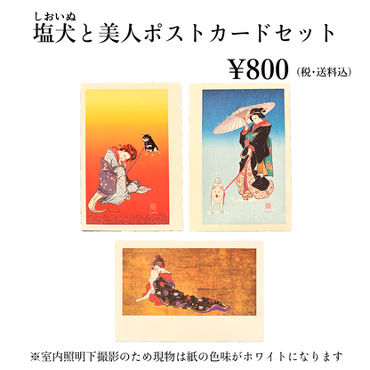 tomekko　塩犬と美人ポストカードセット